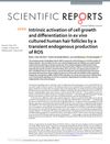 Intrinsic Activation of Cell Growth and Differentiation in Ex Vivo Cultured Human Hair Follicles by a Transient Endogenous Production of ROS