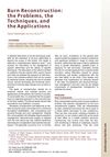 Burn Reconstruction: The Problems, Techniques, and Applications
