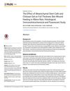 The Effect of Mesenchymal Stem Cells and Chitosan Gel on Full Thickness Skin Wound Healing in Albino Rats: Histological, Immunohistochemical and Fluorescent Study