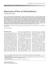 Expression of Wise in Chick Embryos