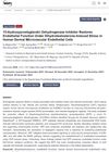 15-Hydroxyprostaglandin Dehydrogenase Inhibitor Restores Endothelial Function Under Dihydrotestosterone-Induced Stress in Human Dermal Microvascular Endothelial Cells