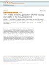 Thy1 Marks a Distinct Population of Slow-Cycling Stem Cells in the Mouse Epidermis