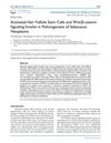Activated Hair Follicle Stem Cells and Wnt/β-Catenin Signaling Involved in Pathogenesis of Sebaceous Neoplasms