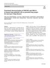 Functional Characterization of OR51B5 and OR1G1 in Human Lung Epithelial Cells as Potential Drug Targets for Non-Type 2 Lung Diseases