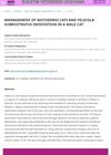 Management of Notoedres Cati and Felicola Subrostratus Infestation in a Male Cat