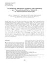 The Molecular Mechanism Underlying the Proliferating and Preconditioning Effect of Vitamin C on Adipose-Derived Stem Cells