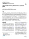 Understanding Microemulsions and Nanoemulsions in Transdermal Delivery
