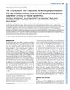 The TFIID Subunit TAF4 Regulates Keratinocyte Proliferation and Has Cell-Autonomous and Non-Cell-Autonomous Tumor Suppressor Activity in Mouse Epidermis