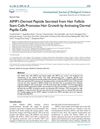 AIMP1-Derived Peptide Secreted from Hair Follicle Stem Cells Promotes Hair Growth by Activating Dermal Papilla Cells