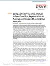 Comparative Proteomic Analysis in Scar-Free Skin Regeneration in Acomys Cahirinus and Scarring Mus Musculus