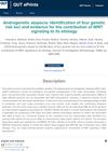 Androgenetic Alopecia: Identification of Four Genetic Risk Loci and Evidence for the Contribution of WNT Signaling to Its Etiology