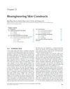 Bioengineering Skin Constructs