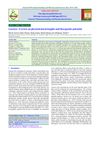 Licorice: A Review on Phytochemical Insights and Therapeutic Potential