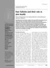 Hair Follicles and Their Role in Skin Health