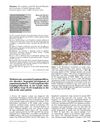 Methotrexate-Associated Lymphoproliferative Disorder: Sequential Development of Angioimmunoblastic T-Cell Lymphoma-Like Lymphoproliferation in the Lymph Nodes and Diffuse Large B-Cell Lymphoma in the Skin in the Same Patient