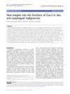 New Insights Into the Functions of Cox-2 in Skin and Esophageal Malignancies