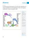 Combinatorial Expression of Cell Cycle Regulators Is More Suitable for Immortalization Than Oncogenic Methods in Dermal Papilla Cells