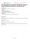 TGF-β Signaling: A Potential Therapeutic Target of Single Herbs and Extracts for Renal Fibrosis