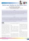 Lupus Nephritis: Current Classification and Management