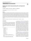 NLKFill: High-Resolution Image Inpainting With a Novel Large Kernel Attention