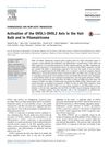 Activation of the OVOL1-OVOL2 Axis in the Hair Bulb and Pilomatricoma