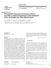 Procyanidin Oligomers Counteract TGF-β1- and TGF-β2-Induced Apoptosis in Hair Epithelial Cells: An Insight into Their Mechanisms
