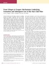 From Telogen to Exogen: Mechanisms Underlying Formation and Subsequent Loss of the Hair Club Fiber
