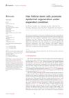Hair Follicle Stem Cells Promote Epidermal Regeneration Under Expanded Condition