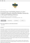Developing New Graft Holding Solutions: In Vitro Evaluation of Bioactive Molecules Identifies Vitamin B12 as Micrograft Stabilizing Substance
