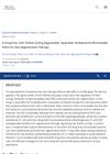 A Drug-Free, Hair Follicle Cycling Regulatable, Separable, Antibacterial Microneedle Patch for Hair Regeneration Therapy