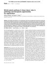 Wnt/β-Catenin Pathway in Tissue Injury: Roles in Pathology and Therapeutic Opportunities for Regeneration