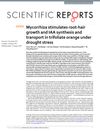 Mycorrhiza Stimulates Root-Hair Growth and IAA Synthesis and Transport in Trifoliate Orange Under Drought Stress