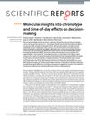 Molecular Insights Into Chronotype and Time-of-Day Effects on Decision-Making
