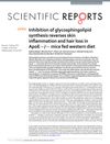 Inhibition of Glycosphingolipid Synthesis Reverses Skin Inflammation and Hair Loss in ApoE−/− Mice Fed Western Diet