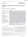 Fibroblast Heterogeneity and Tertiary Lymphoid Tissues in the Kidney