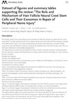 Dataset of Figures and Summary Tables Supporting the Review: The Role and Mechanism of Hair Follicle Neural Crest Stem Cells and Their Exosomes in Repair of Peripheral Nerve Injury