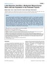 Label Retention Identifies a Multipotent Mesenchymal Stem Cell-Like Population in the Postnatal Thymus