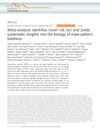 Meta-Analysis Identifies Novel Risk Loci and Yields Systematic Insights into the Biology of Male-Pattern Baldness