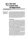 The Hair Cycle And Its Regulation