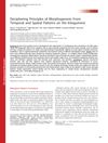 Deciphering Principles of Morphogenesis from Temporal and Spatial Patterns on the Integument