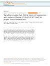 Signaling Couples Hair Follicle Stem Cell Quiescence With Reduced Histone H3 K4/K9/K27me3 for Proper Tissue Homeostasis