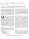 Localization of Minoxidil Sulfotransferase in Rat Liver and the Outer Root Sheath of Anagen Pelage and Vibrissa Follicles