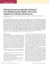 Dihydrotestosterone-Inducible Dickkopf 1 from Balding Dermal Papilla Cells Causes Apoptosis in Follicular Keratinocytes
