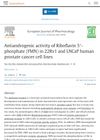 Antiandrogenic Activity of Riboflavin 5′-Phosphate (FMN) in 22Rv1 and LNCaP Human Prostate Cancer Cell Lines