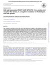 Cell Wall-Associated Root Hair Specific 10, a Proline-Rich Receptor-Like Kinase, Is a Negative Modulator of Arabidopsis Root Hair Growth