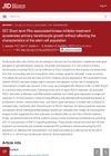 Short-Term Rho-Associated Kinase Inhibitor Treatment Accelerates Primary Keratinocyte Growth Without Affecting the Stem Cell Population