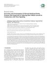 Decoction and Fermentation of Selected Medicinal Herbs Promote Hair Regrowth by Inducing Hair Follicle Growth in Conjunction with Wnt Signaling