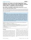 Folliculin, the Product of the Birt-Hogg-Dube Tumor Suppressor Gene, Interacts with the Adherens Junction Protein p0071 to Regulate Cell-Cell Adhesion