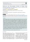 Biodiversity and Microorganisms Variation of Endemic Duku (Lansium Domesticum Corr.) Rhizosphere in the Wet and Dry Main Growing Site in Jambi, Indonesia