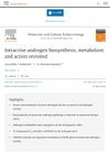 Intracrine Androgen Biosynthesis, Metabolism, and Action Revisited